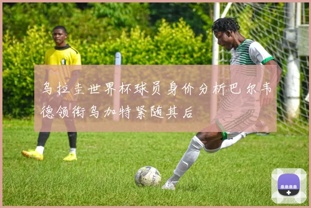 乌拉圭世界杯球员身价分析巴尔韦德领衔乌加特紧随其后